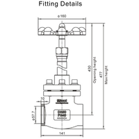 T75 Globe Valve DN40 met lange nek GUARD™ T75 Globe Valve DN40 met lange nek