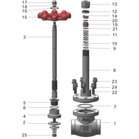T75 Globe Valve DN40 met lange nek GUARD™ T75 Globe Valve DN40 met lange nek