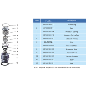 Vacuum O-ring voor 1" BSP veiligheidsventiel