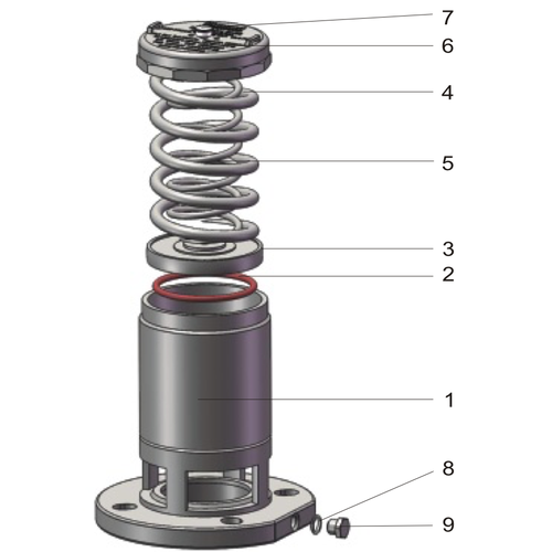 GUARD™ DN80 geflanschtes Sicherheitsventil Druckeinstellung 11,38 bar