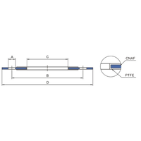 DN80 BSP Staubkappe PTFE Dichtung GUARD™ DN80 BSP Staubkappe PTFE Dichtung