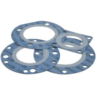 DN80 BSP Staubkappe PTFE Dichtung GUARD™ DN80 BSP Staubkappe PTFE Dichtung