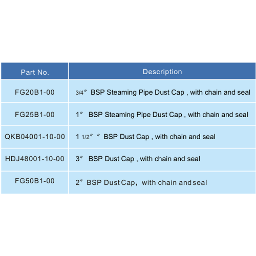 GUARD™ 3/4"BSP Dust Cap with Chain and PTFE seal