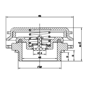DN50 BSP Überdruckventil 0.21Bar / -0.03bar VAC.