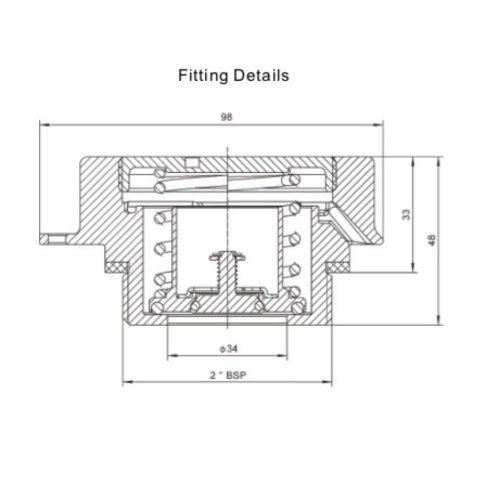 GUARD™ DN50 BSP Sicherheitsventil