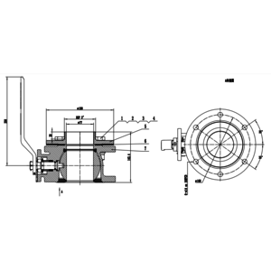 3" Ball valve Assembly + 3" BSP output