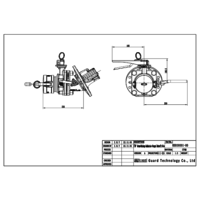 3" 30 FootValve + 3" ClampButterfly + 3' FlangeOutlet + 3 "BlindFlange GUARD™ 3" 30 FootValve + 3" ClampButterfly + 3' FlangeOutlet + 3 "BlindFlange