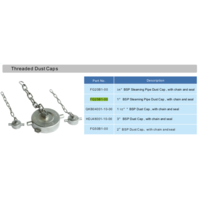 DN25 BSP Staubkappe mit Kette und PTFE Dichtung GUARD™ DN25 BSP Staubkappe mit Kette und PTFE Dichtung