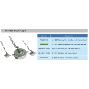 1" BSP Staubkappe mit Kette und PTFE Dichtung