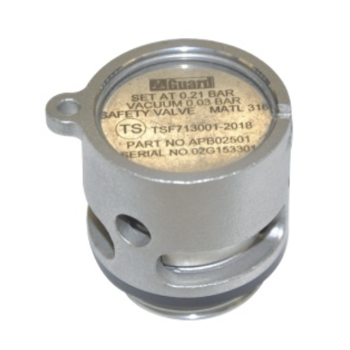 GUARD™ DN25 Druck-Vakuum-Überdruckventil, BSP-Anschluss,