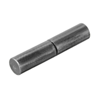 Scharnierstift GB/T882B für Schwenkfußventile GUARD™ Scharnierstift GB/T882B für Schwenkfußventile