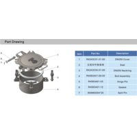 DN250 Deep Neckring Inspection DN250 Deep Neckring Inspection