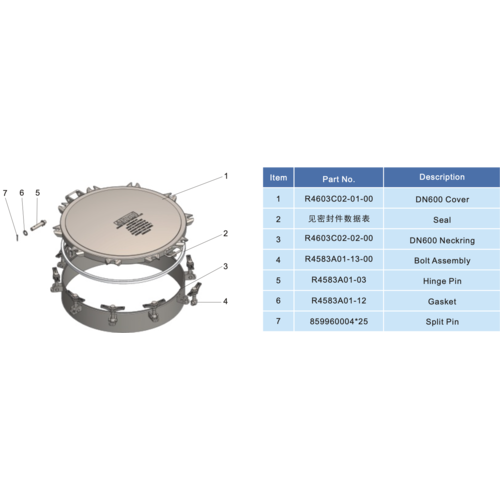 Conjunto de tapa de cierre con cuello profundo DN600 (600 mm) GUARD™ Conjunto de tapa de cierre con cuello profundo DN600 (600 mm)
