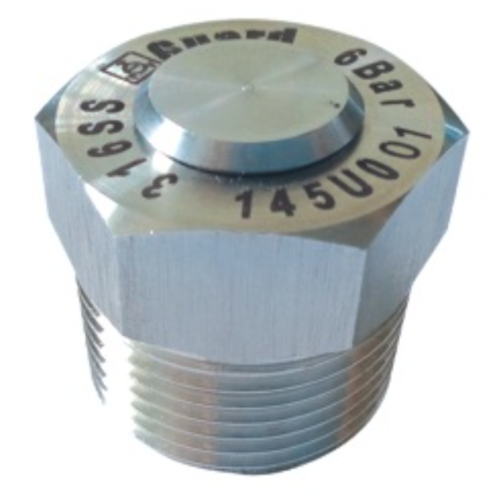 GUARD™ Relief Valve 3/4" 6 bar