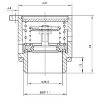 DN25 BSP Sicherheitsventil GUARD™ DN25 BSP Sicherheitsventil