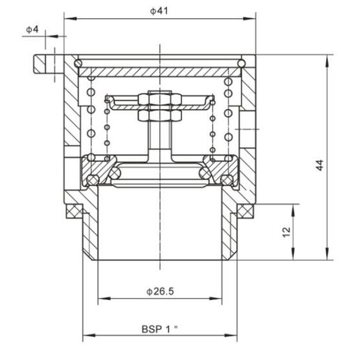 1" BSP Safety Relief Valve GUARD™ 1" BSP Safety Relief Valve