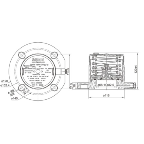 PFA Lined Flanged Safety Relief Valve GUARD™ PFA Lined Flanged Safety Relief Valve