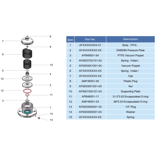 PFA Lined Flanged Safety Relief Valve GUARD™ PFA Lined Flanged Safety Relief Valve