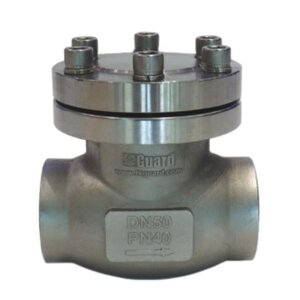 DN50 Check Valve