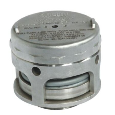 BSP Safety Relief Valve