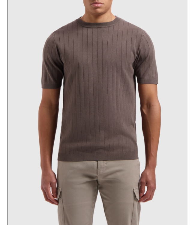 Pure Path PW 24010808 Vertical Striped Knitwear T-Shirt / Brown