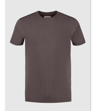 Pure Path PW 24010808 Vertical S triped Knitwear T-Shirt/ Brown
