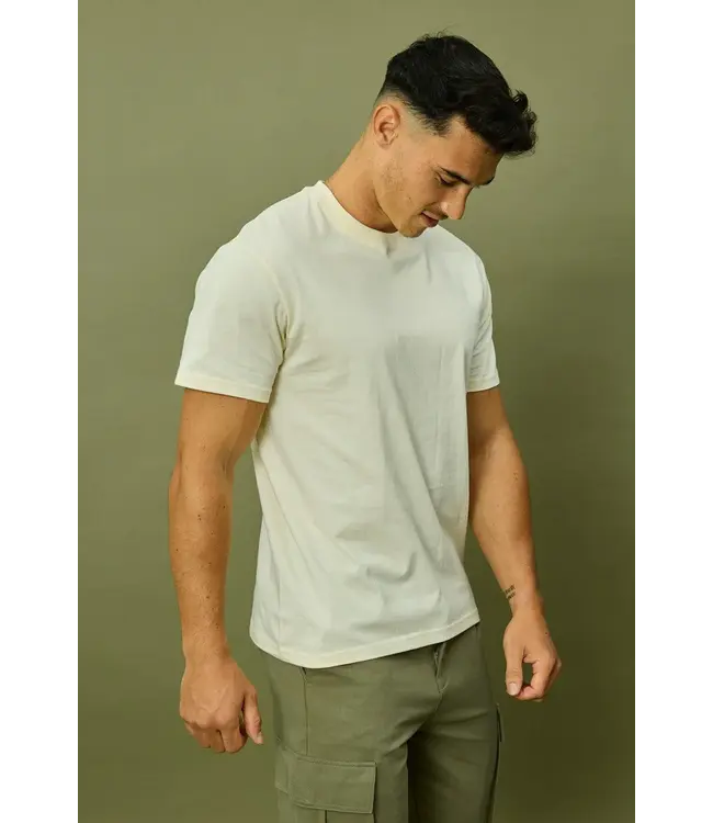 Frilivin Frilivin Premium thick basic t-shirt - M688-9 Beige