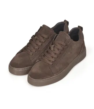 CYCLEUR de LUXE Cycleur De Luxe CDLM262052  Suede Leather - Chocolate Lab