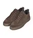 CYCLEUR de LUXE Cycleur De Luxe CDLM262052  Suede Leather - Chocolate Lab