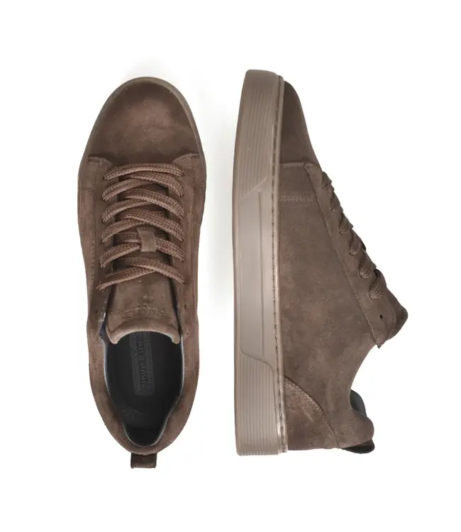 CYCLEUR de LUXE Cycleur De Luxe CDLM262052  Suede Leather - Chocolate Lab