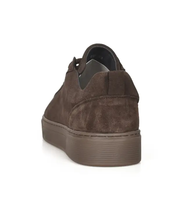 CYCLEUR de LUXE Cycleur De Luxe CDLM262052  Suede Leather - Chocolate Lab