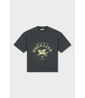 Equalité EQUALITE EQ.26.11.6.34.243 Sian Boxy Tee - Washed Grey