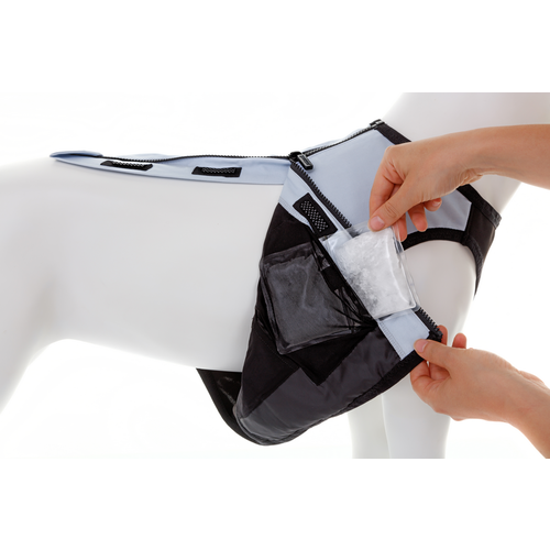 cani.cool Gilet de refroidissement PRO - Refroidissement constant à 21 ° C cani.cool Gilet de refroidissement PRO - Refroidissement constant à 21 ° C