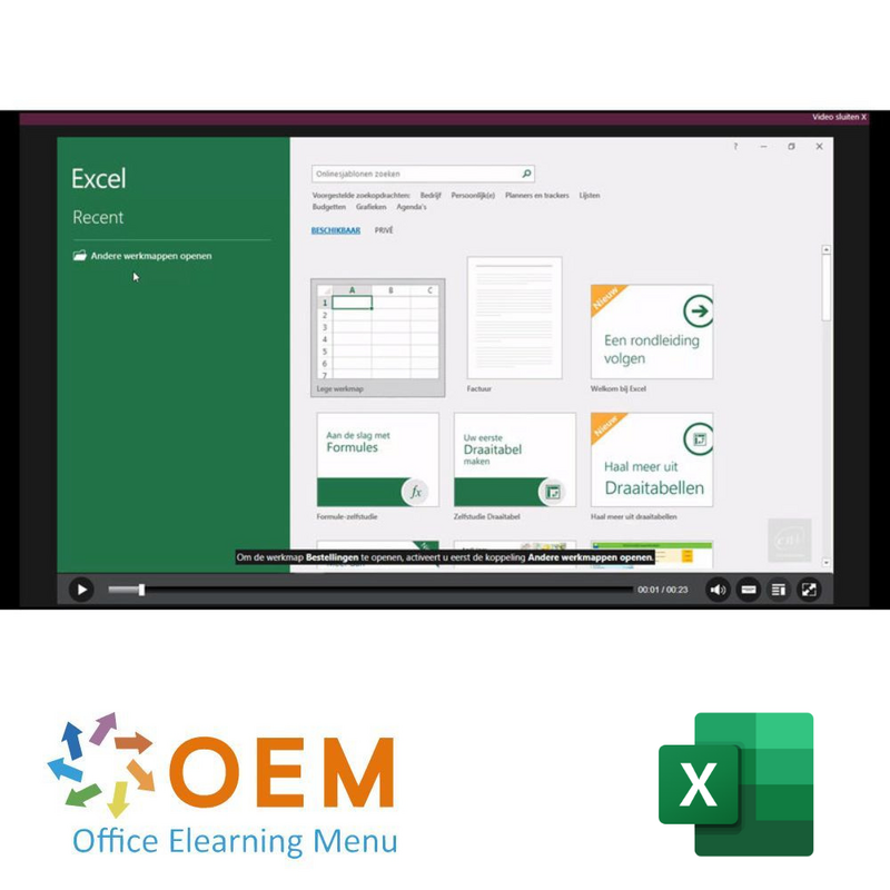 Excel for Sales Professionals