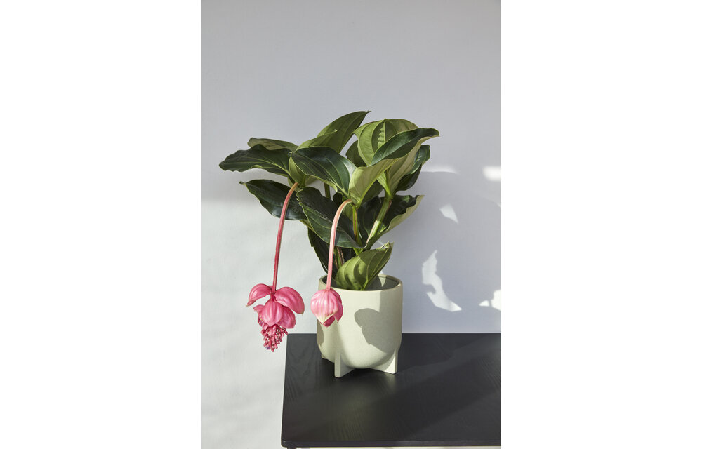 Bloempot, keramiek, lichtgroen, set van 2