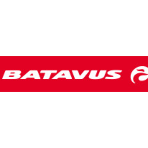 Batavus