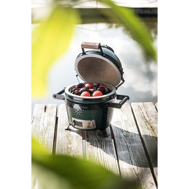 Big Green Egg Mini Solo
