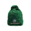 Big Green Egg Beanie