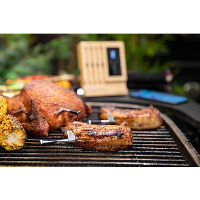 Meater Block met 4 probes