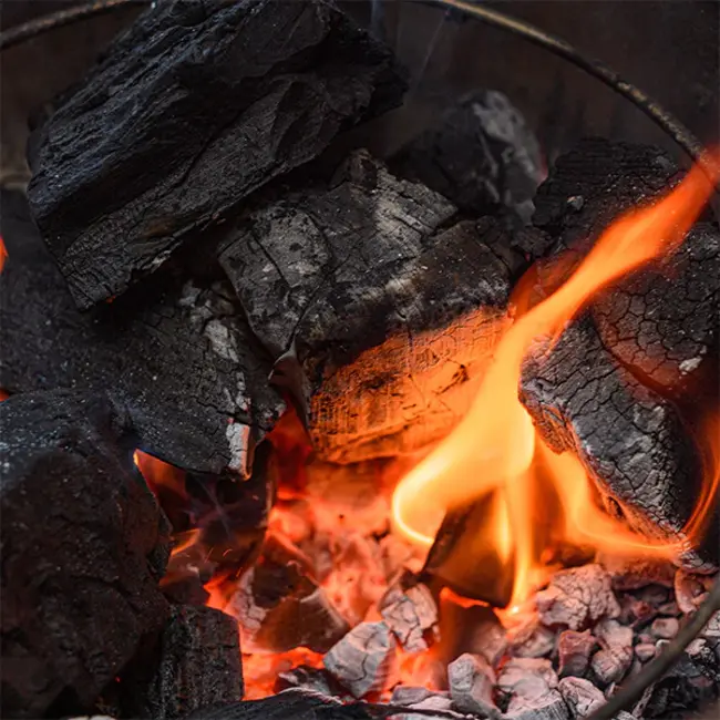 Kamado Joe Aanmaakblokjes 24 Stuks | Fire Starters