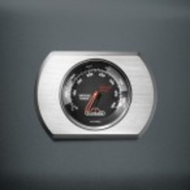 Napoleon Rogue PRO 425-2 met infrarood zijbrander