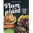 Vlam in de plant