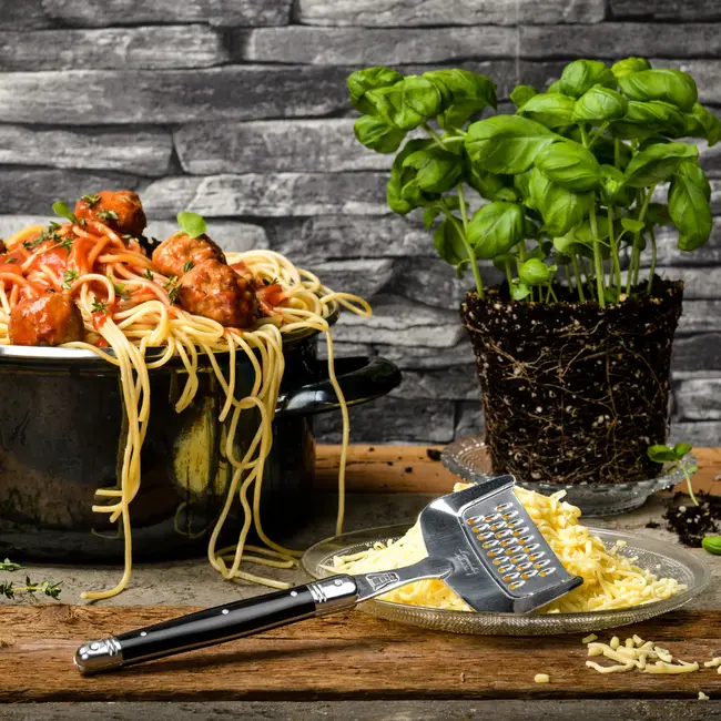 Laguiole Style de Vie Kaasschaaf en Rasp Set Premium Line Zwart