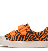 Clarks City Bright Tiger Print Infant