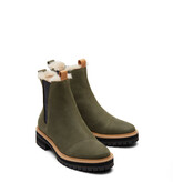 Toms Dakota Olive