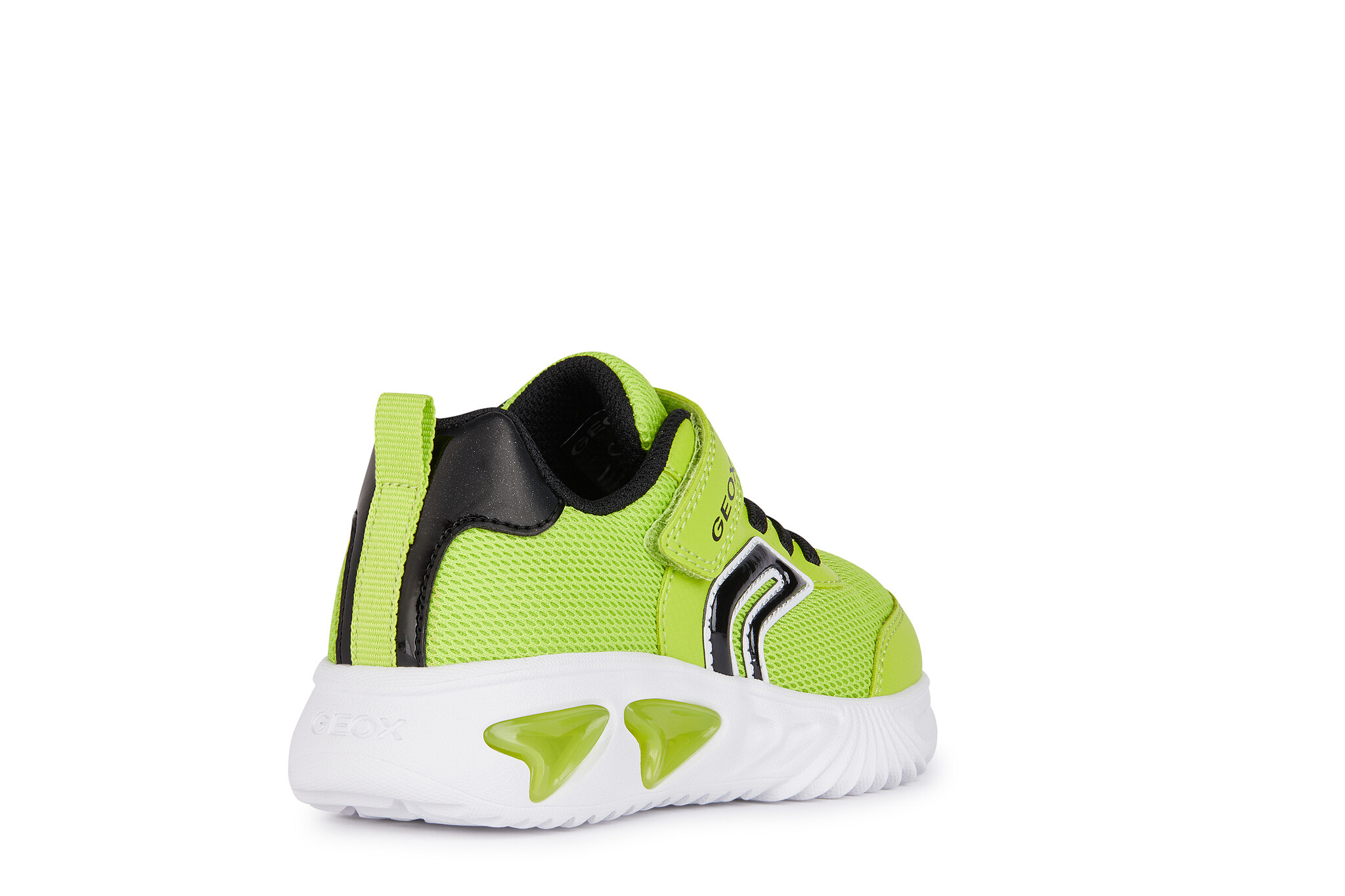 Geox Assister Lime/Black