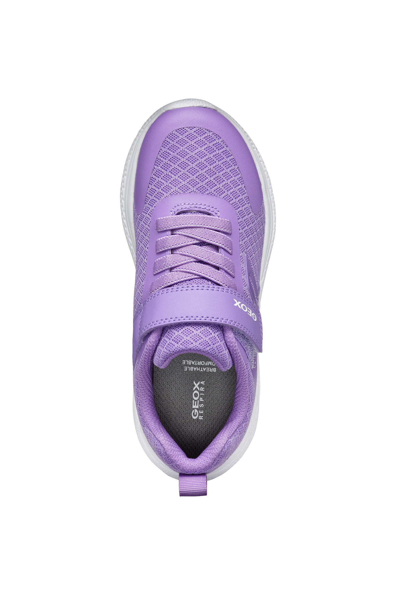 Geox Sprintye Lilac