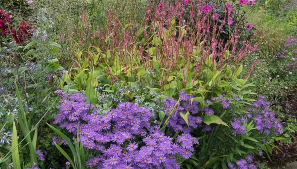 Gardens of the World - Nursery the Boschhoeve