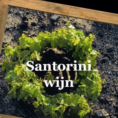 Santorini wijn
