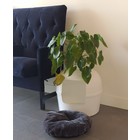 RHRQuality Spare Cushion Dark Grey - Litter Box Flower